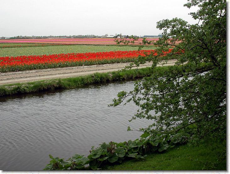 Næste billede